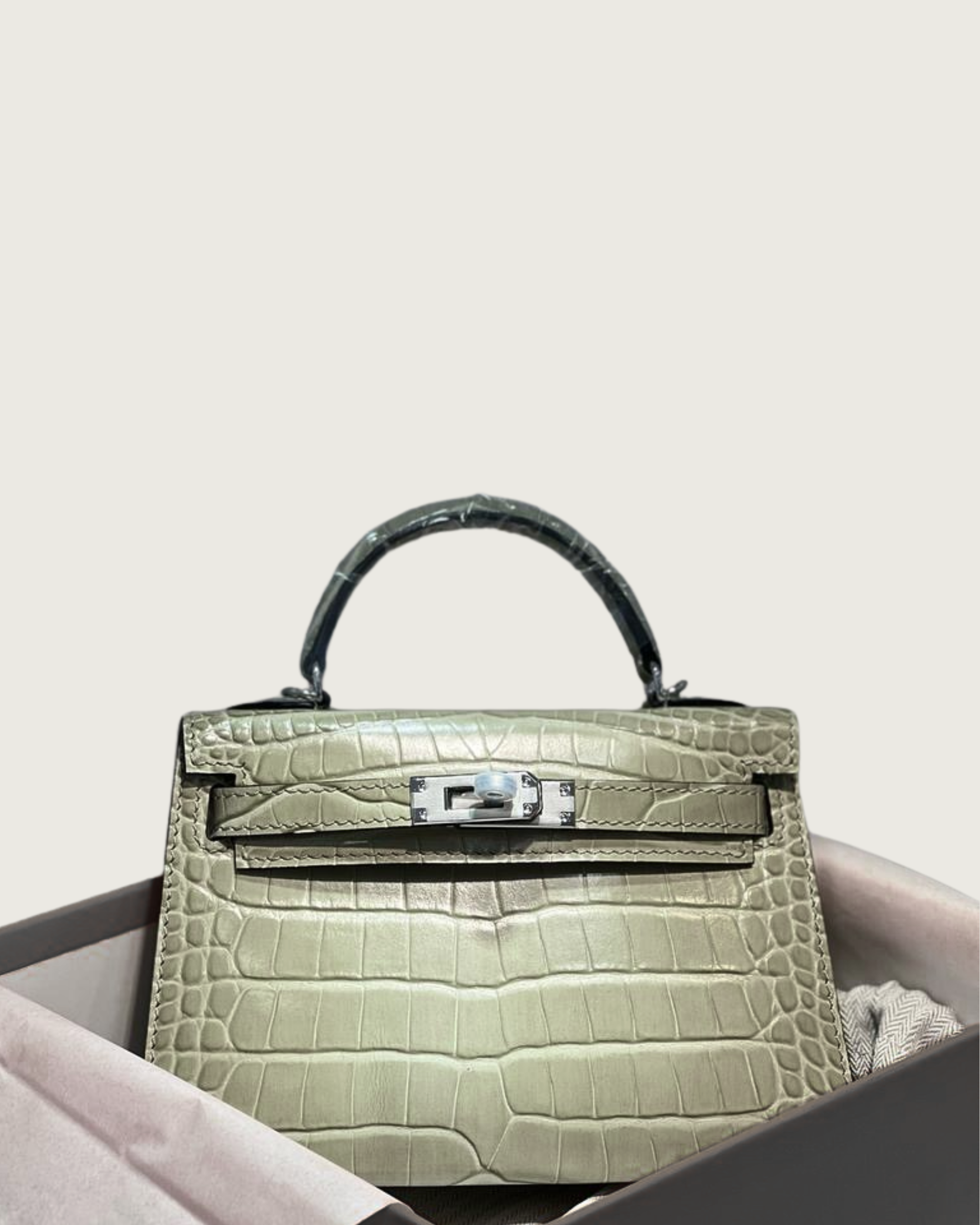 MINI PARIS EXOTIC - Vert mentee