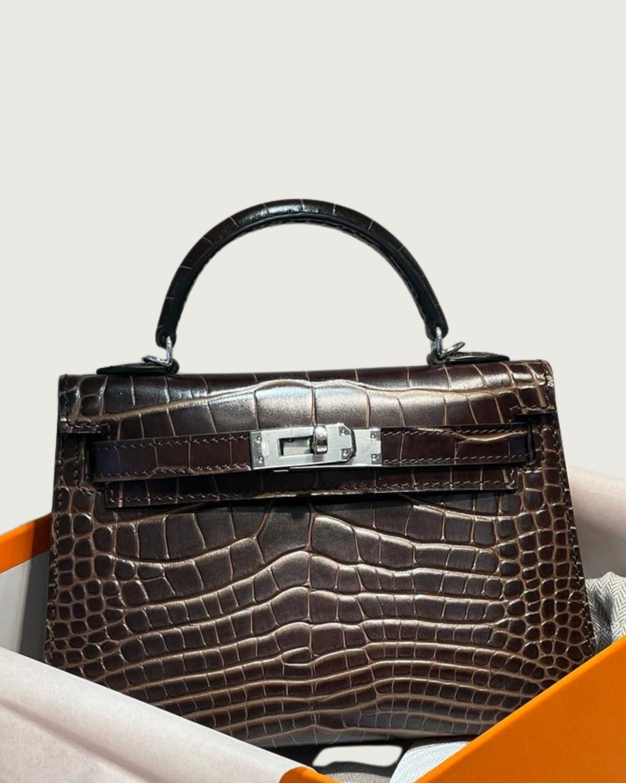 MINI PARIS EXOTIC - Moka