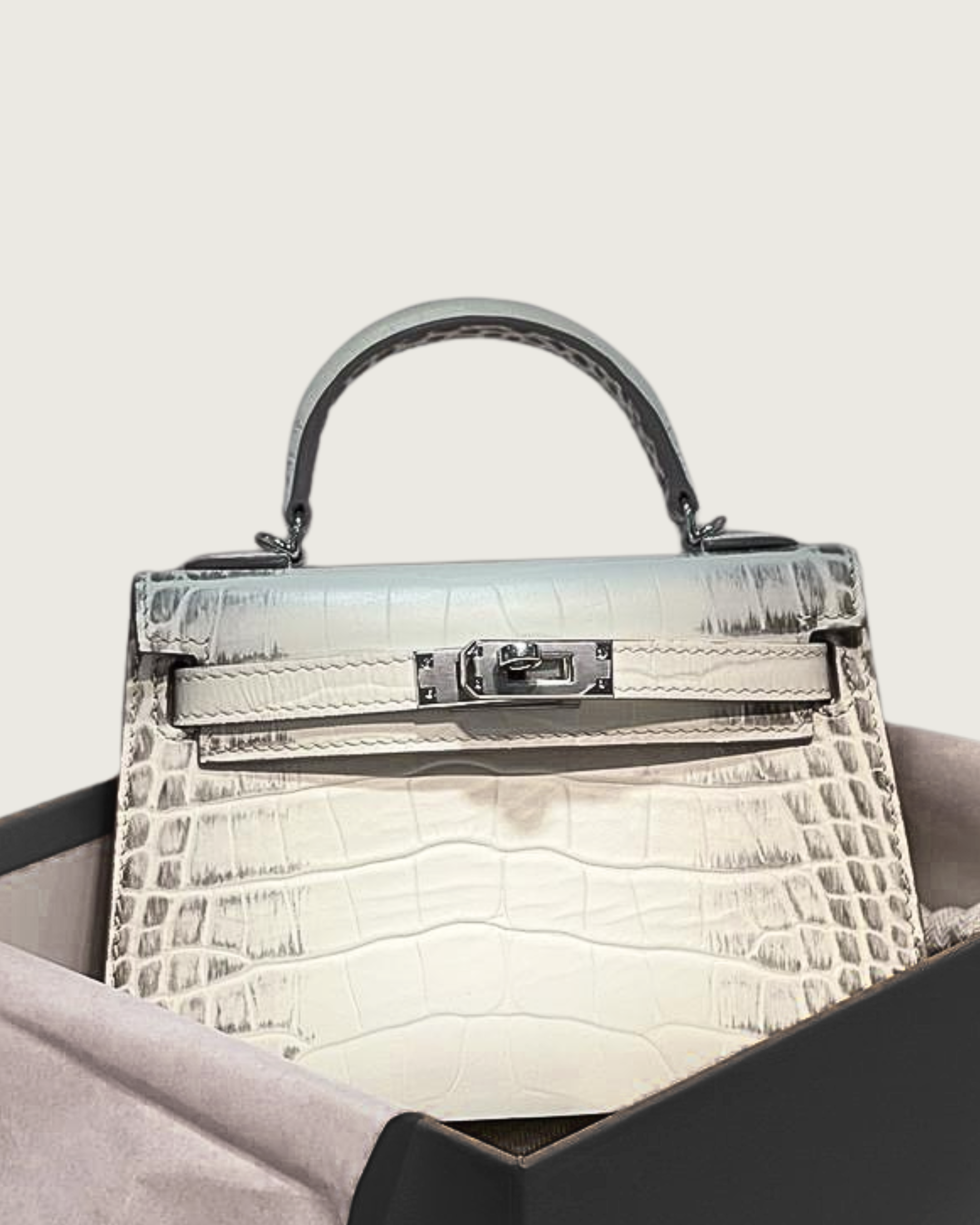 MINI PARIS EXOTIC - Crocodile