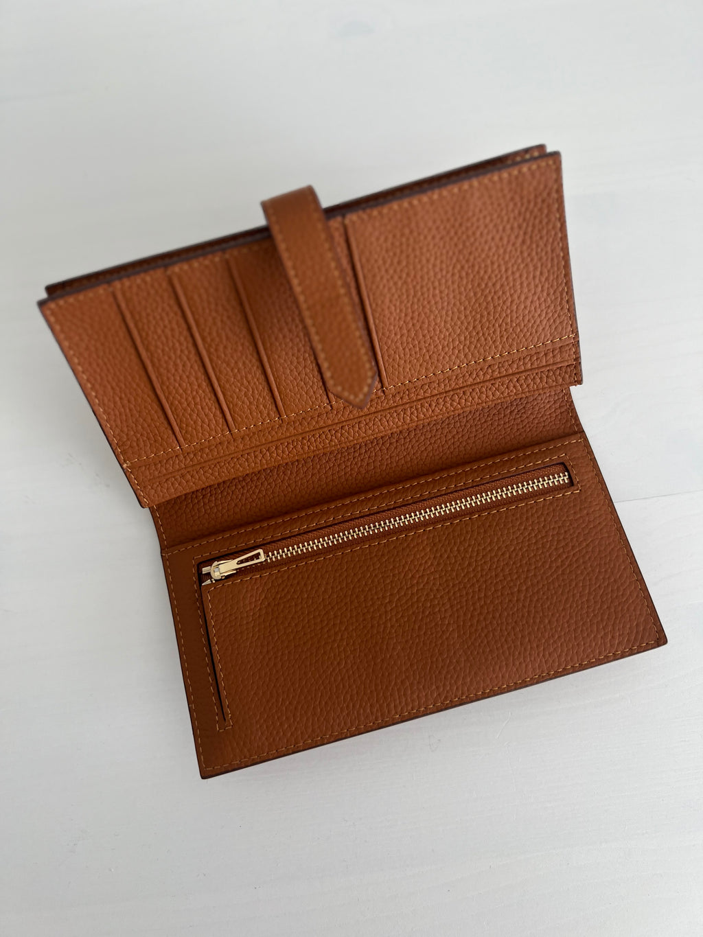 Hippocampe L - Camel